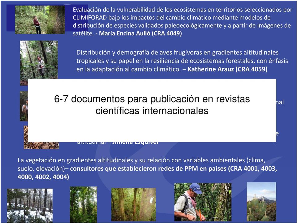 María Encina Aulló (CRA 4049) Distribución y demografía de aves frugívoras en gradientes altitudinales tropicales y su papel en la resiliencia de ecosistemas forestales, con énfasis en la adaptación