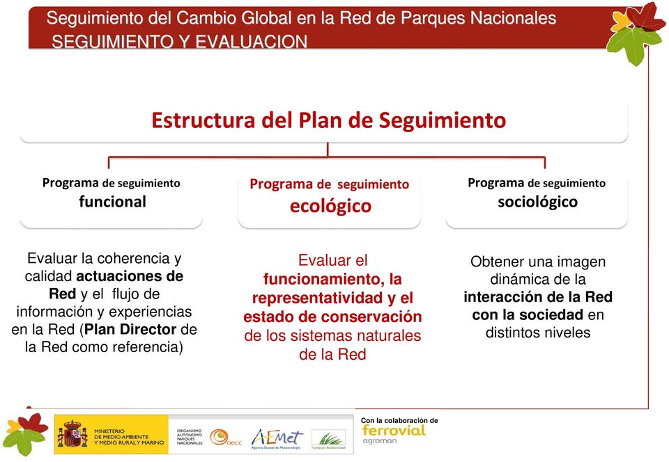 Red (Plan Director de la Red como referencia) Evaluar el funcionamiento, la representatividad y el estado de conservación de los