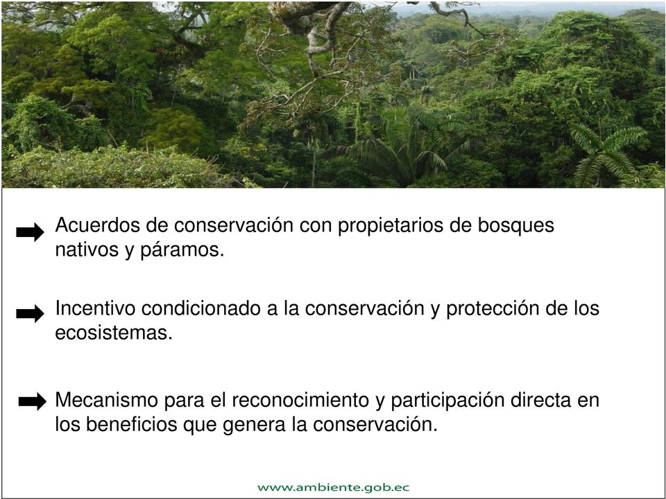 Incentivo condicionado a la conservación y protección de los