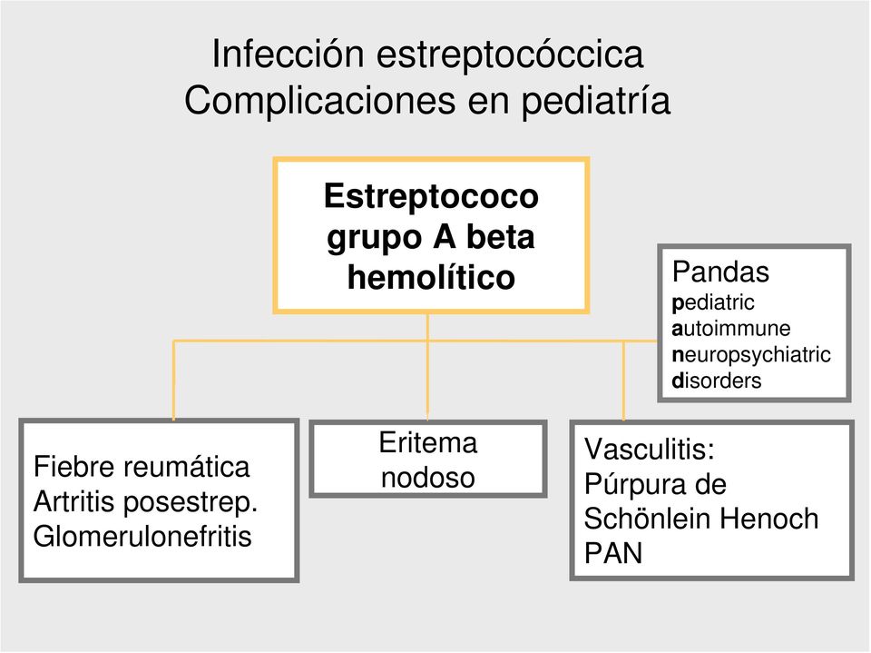 Glomerulonefritis Estreptococo grupo A beta hemolítico Eritema
