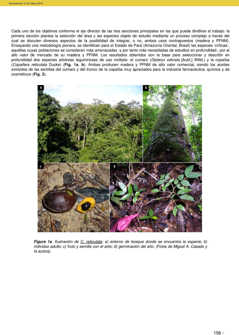 Ensayando una metodología pionera, se identifican para el Estado de Pará (Amazonía Oriental, Brasil) las especies críticas, aquéllas cuyas poblaciones se consideran más amenazadas -y por tanto más