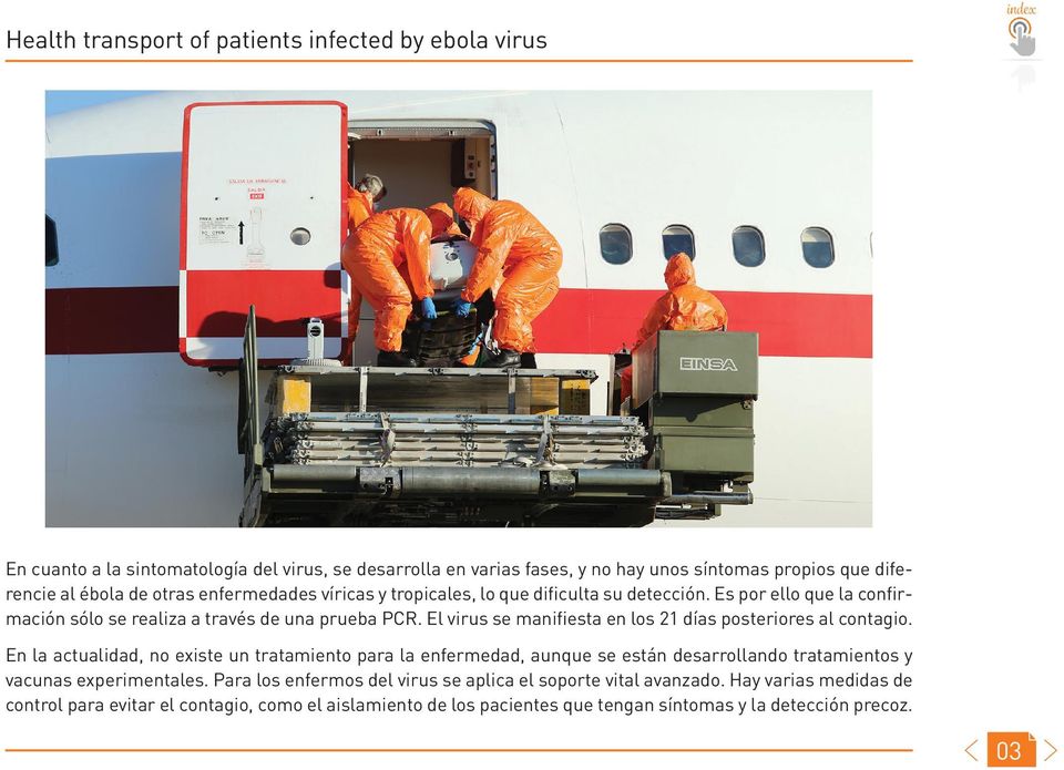El virus se manifiesta en los 21 días posteriores al contagio.
