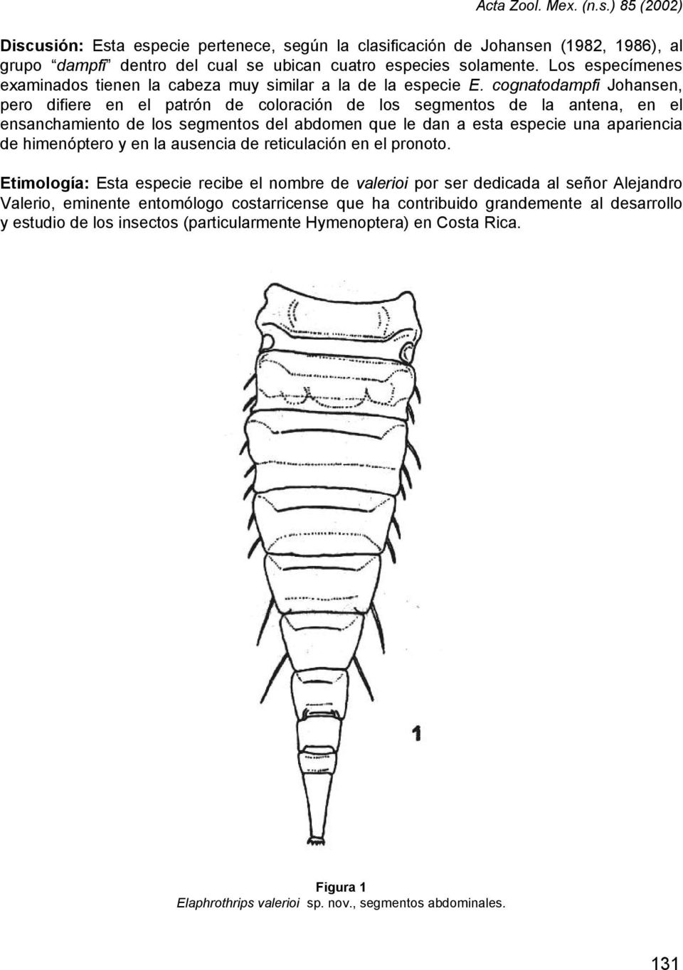 cognatodampfi Johansen, pero difiere en el patrón de coloración de los segmentos de la antena, en el ensanchamiento de los segmentos del abdomen que le dan a esta especie una apariencia de