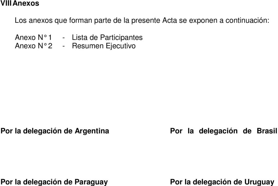 Participantes - Resumen Ejecutivo Por la delegación de Argentina
