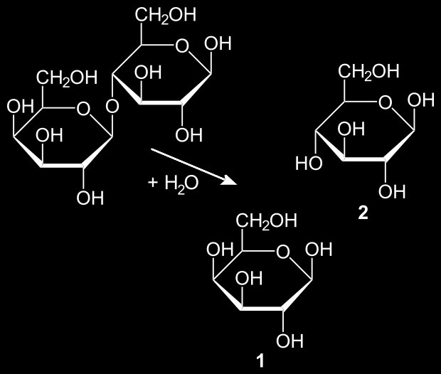 Disacáridos Glúcidos formados por dos moléculas de monosacáridos (deshidratación).