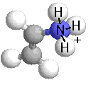 El grupo amino: Bases El nitrógeno en las moléculas biológicas comúnmente se encuentra en forma de grupos amino (- NH 2 ).