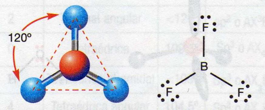 Enlace covalente Geometría de las moléculas covalentes Trigonal