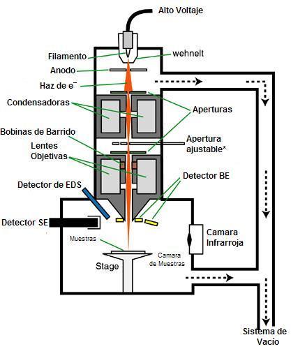 FUNCIONAMIENTO El microscopio electrónico de barrido consta de un sistema de vacío (bomba mecánica, bomba turbomolecular y bombas iónicas) que