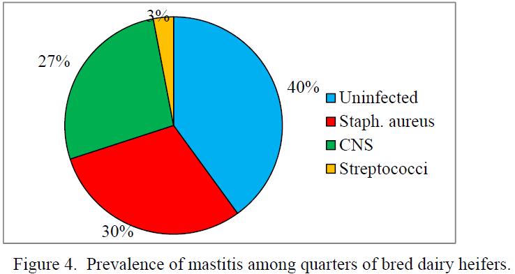 Prevalencia de cuartos infectados por mastitis