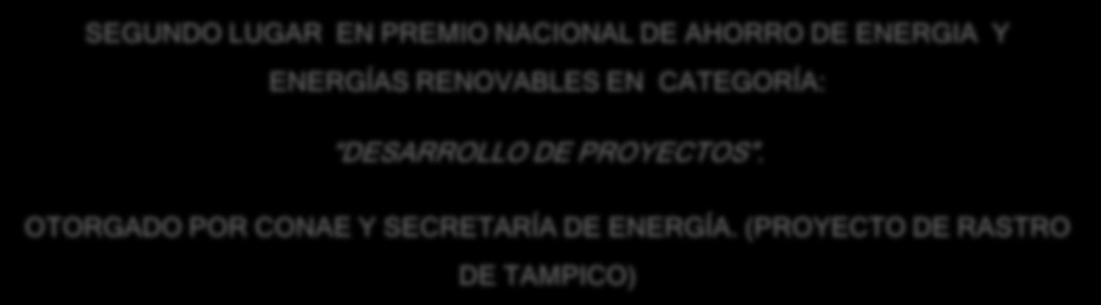 ENERGÍAS RENOVABLES EN CATEGORÍA: DESARROLLO DE PROYECTOS.