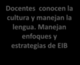 Una Escuela que implementa Educación Intercultural Bilingüe cuenta con: Currículo que implementa un propuesta pedagógica de EIB.