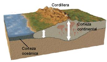 12 Escorça oceànica És més estreta que la continental, té una capa superior de només uns centenars de metres de grossor, formada per sediments.