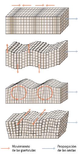 14 Les ones sísmiques són vibracions que provoquen el desplaçament de les partícules dels materials que travessen.