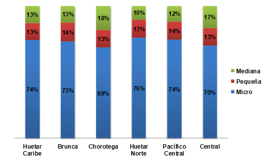 Distribución de las PYME 2015 por Región socioeconómica según Tamaño de empresa