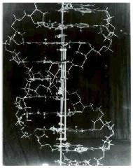 Modelo en metal del DNA J. Watson y F.