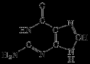 BASES PURICAS Las bases púricas son derivadas del compuesto fundamental PURINA, una amina heterocíclica que se compone de una anillo de pirimidina