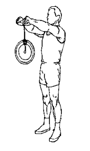 PARALELAS Agonista: tríceps Antagonista: pectoral mayor Montado en unas barras parraleras se realizan flexo extensiones del codo con una rotación interna de la articulación del hombro.