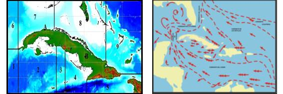 Los Eventos Extremos, Impactos en el Caribe y la Lluvia en la Amazonía 77 Figura 1: Distribución de las estaciones realizadas durante los 54 cruceros, en el período 1966-2000 de la isoterma de 26 C,