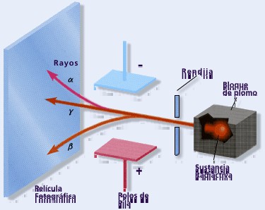 Los Rayos X y la Radioactividad Un físico alemán WK Röentgen, trabajando con tubos de descarga, descubrió unos rayos que se caracterizaban porque: - No se desvían ante una placa cargada