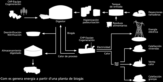 Biogás (combustible gaseoso) Residuos orgánicos