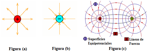 campo debido a una carga puntual negativa el mapa de líneas de fuerza sería análogo, pero dirigidas hacia la carga central Figura (b).