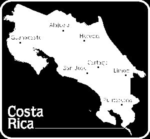 Café de Costa Rica se cultiva