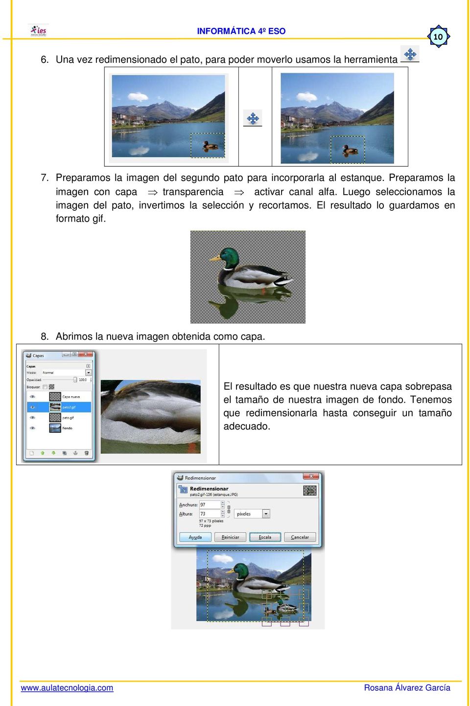 Luego seleccionamos la imagen del pato, invertimos la selección y recortamos. El resultado lo guardamos en formato gif. 8.