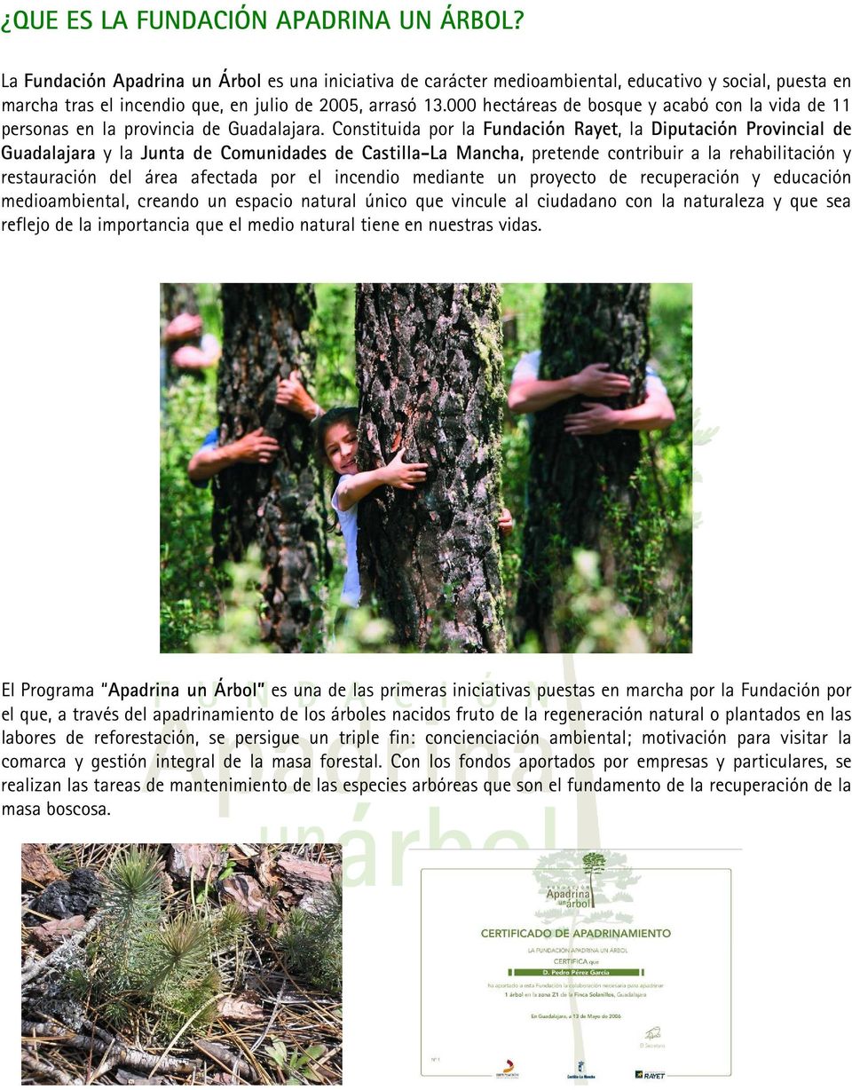 000 hectáreas de bosque y acabó con la vida de 11 personas en la provincia de Guadalajara.