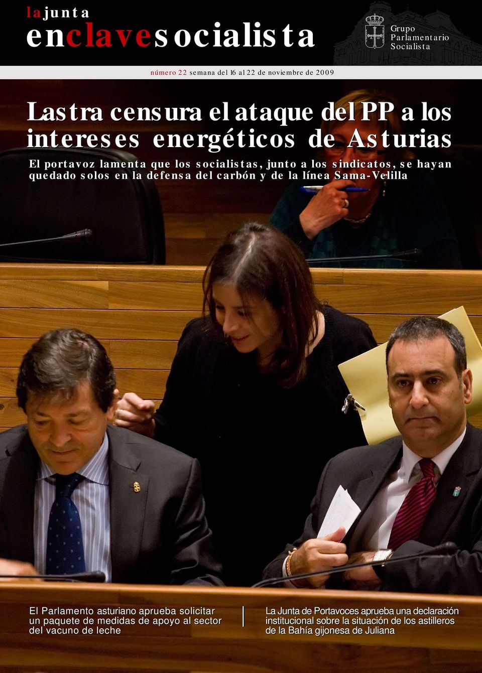 defensa del carbón y de la línea Sama-Velilla El Parlamento asturiano aprueba solicitar un paquete de medidas de apoyo al sector del