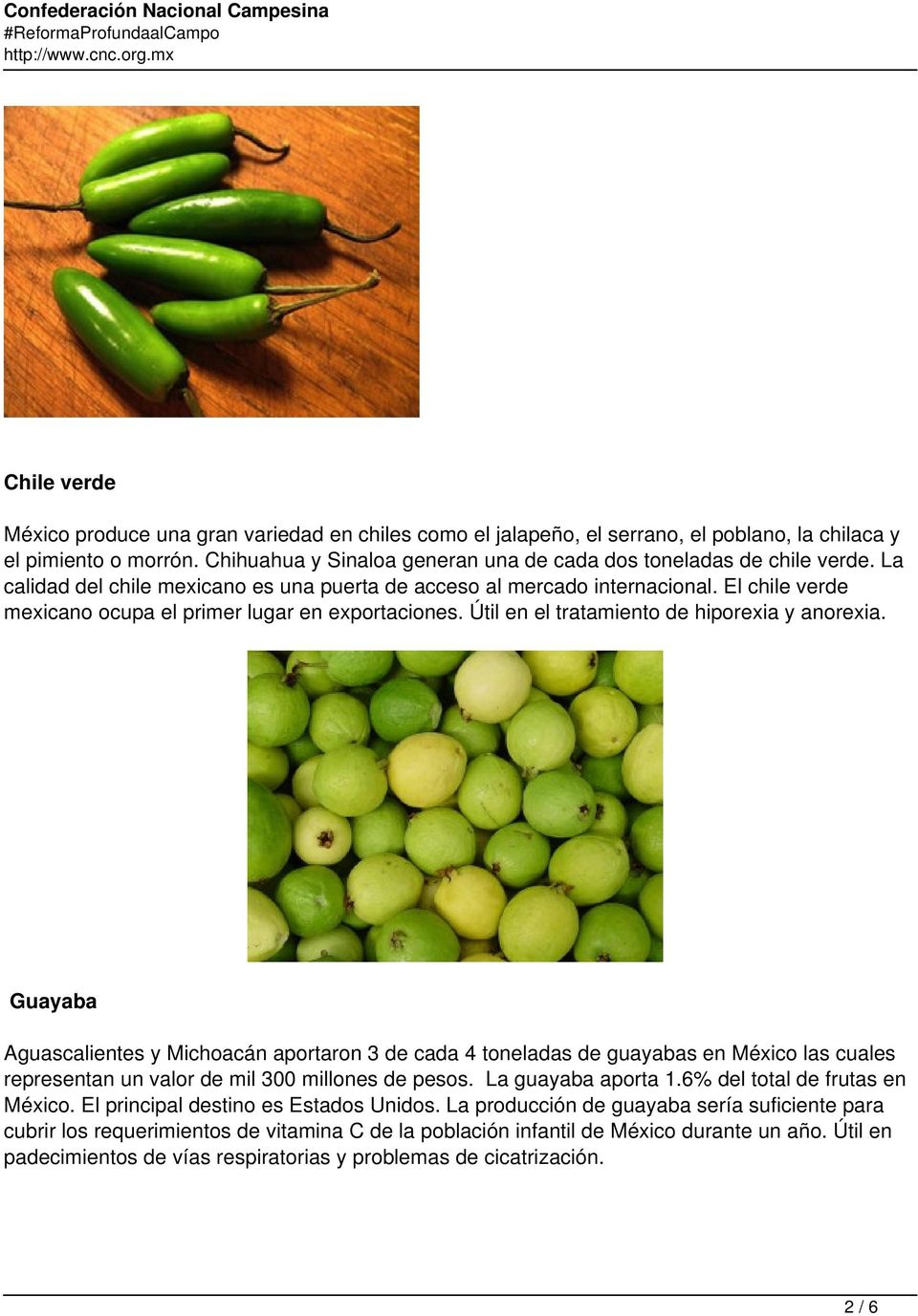 El chile verde mexicano ocupa el primer lugar en exportaciones. Útil en el tratamiento de hiporexia y anorexia.
