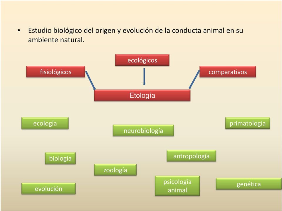 fisiológicos ecológicos comparativos Etología ecología
