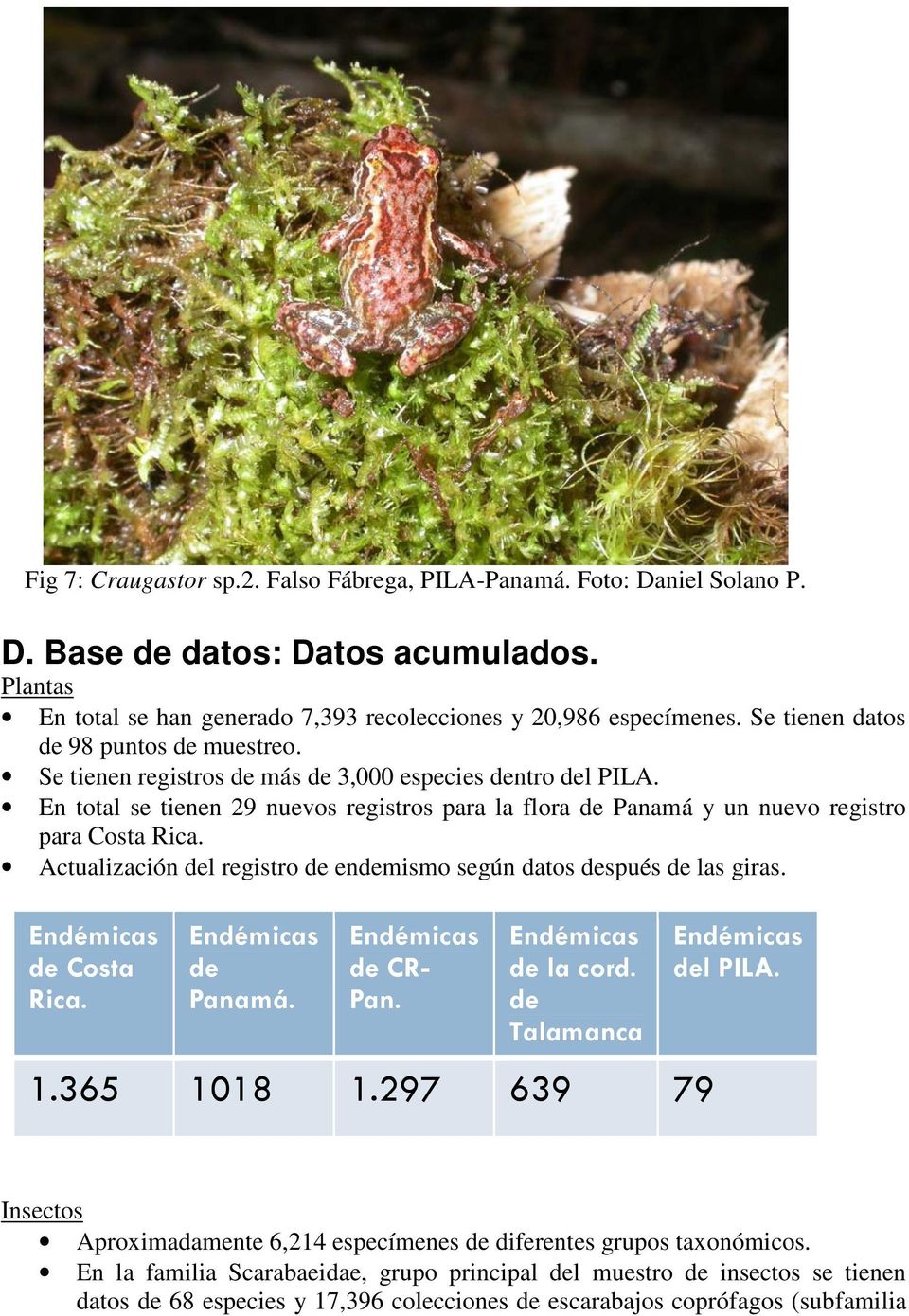 En total se tienen 29 nuevos registros para la flora de Panamá y un nuevo registro para Costa Rica. Actualización del registro de endemismo según datos después de las giras. Endémicas de Costa Rica.