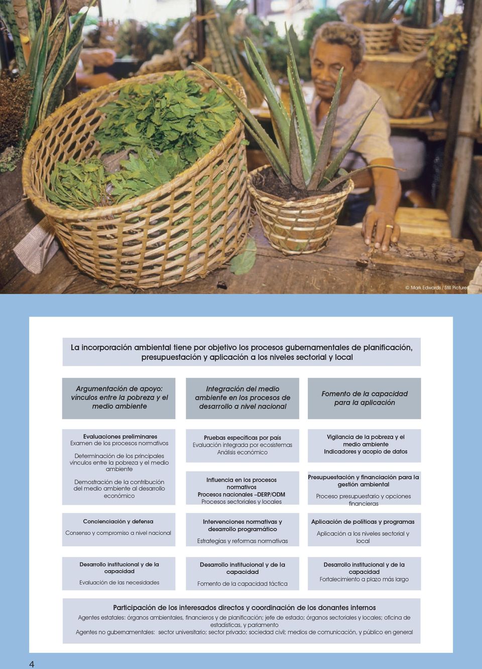 preliminares Examen de los procesos normativos Determinación de los principales vínculos entre la pobreza y el medio ambiente Demostración de la contribución del medio ambiente al desarrollo