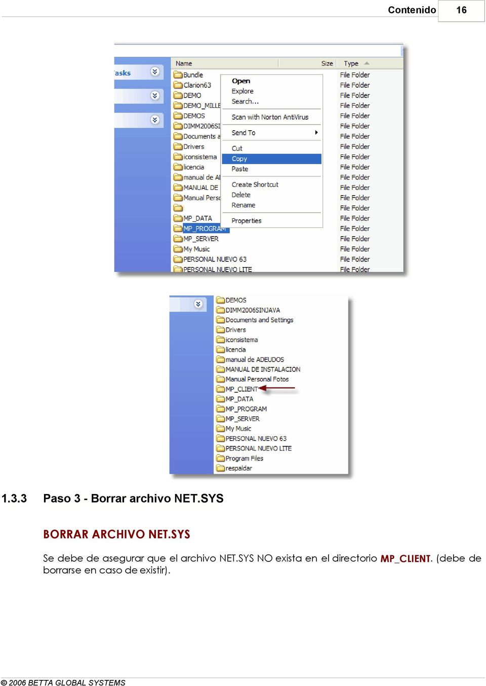 SYS Se debe de asegurar que el archivo NET.