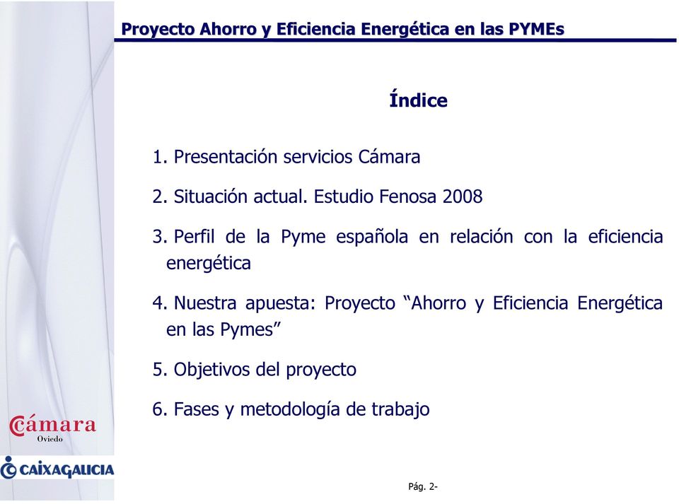 Perfil de la Pyme española en relación con la eficiencia energética 4.