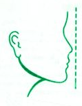 El perfil es el contorno del rostro, la cabeza o