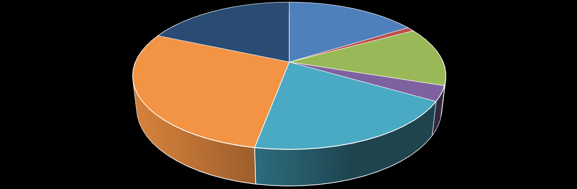 24.93% Distribución de la Vacancia por Distrito 21.70% 1.28% 17.57% 38.52% 4.47% 26.