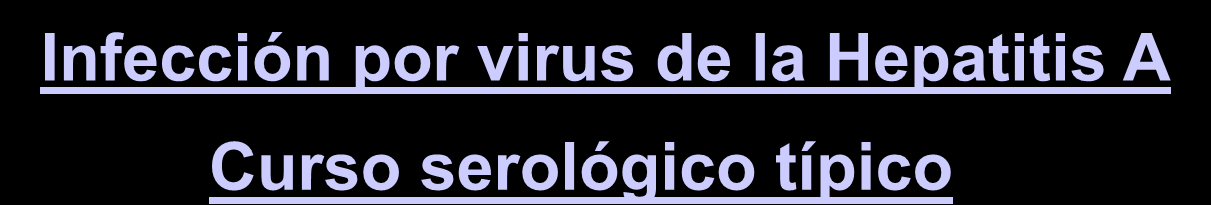 Infección por virus de la Hepatitis A Curso serológico típico síntomas antihav total Título