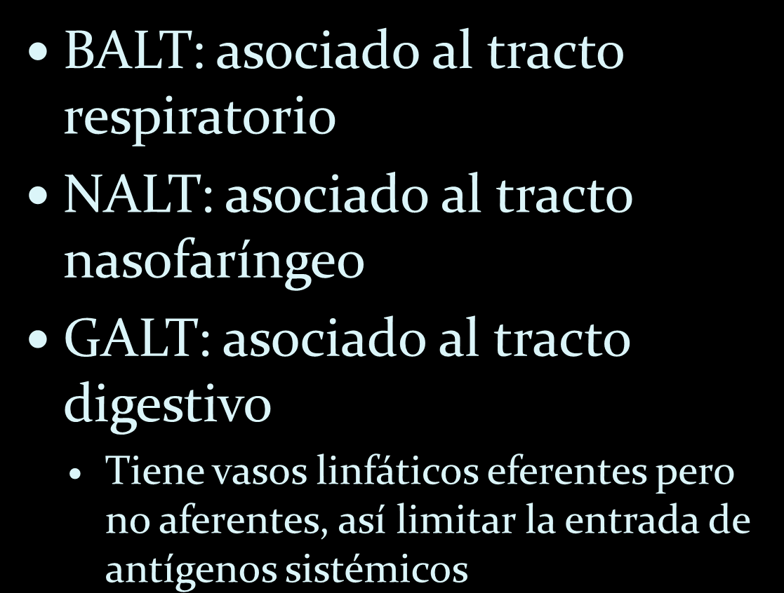 Sistema inmune común de las mucosas BALT: asociado al tracto respiratorio NALT: asociado al tracto nasofaríngeo GALT: asociado al tracto
