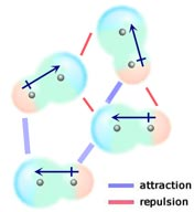 FUERZAS DIPOLO-DIPOLO Se presentan entre dos o más moléculas polares. La atracción ocurre entre el polo positivo de una molécula con el polo negativo de otra.