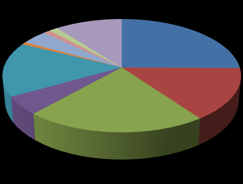 Cartera Objetivo Actual Cartera Objetivo 2013 BSANTANDER 8.64% PROVIDA 7.79% COPEC 7.14% AESGENER 6.77% SQM-B 6.71% BCI 5.41% CAP 5.38% HABITAT 5.04% FALABELLA 4.52% CORPBANCA 3.85% ANDINA-B 3.