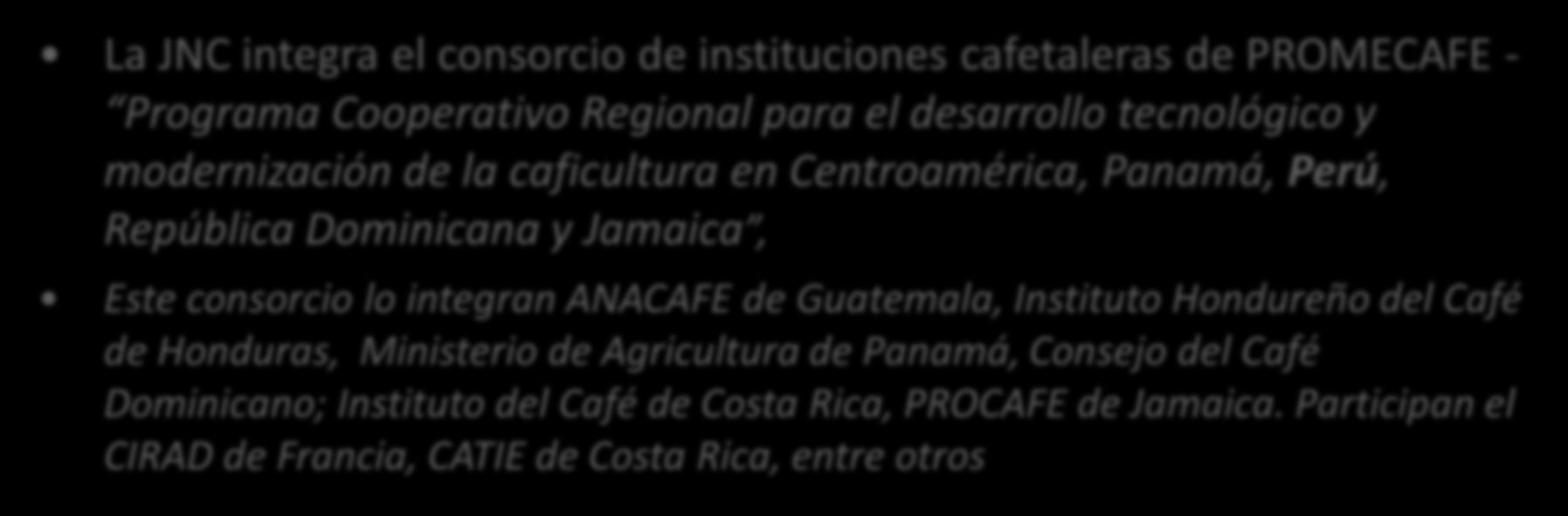 Articulación a Red Internacional de entidades especializadas en café La JNC integra el consorcio de instituciones cafetaleras de PROMECAFE - Programa Cooperativo Regional para