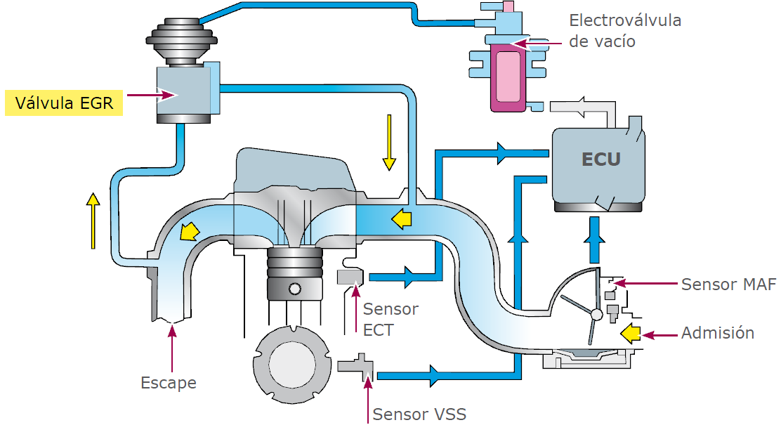 Sistema EGR Se utiliza para disminuir los niveles de nitrógeno e hidrocarburos, causados por la elevación de las temperaturas del motor.