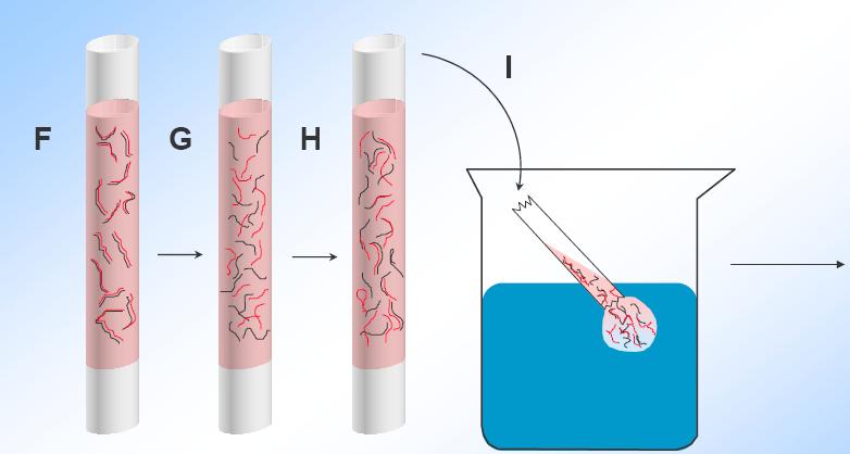 tubo con ADN calentamiento