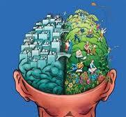 Los dos hemisferios cerebrales: diferencias.