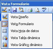 Autoformulario veure simulació Simulació disponible a la versió web del material Visualitzacions dels formularis Els formularis tenen 5 visualitzacions, a les quals s accedeix mitjançant el botó