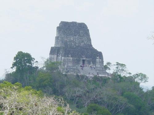 Templo IV También conocido como Templo de la Serpiente Bicéfala, es el más alto de Tikal, con 64 m, construido por el hijo de Hasaw
