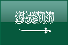 FICHA TECNICA COMERCIAL DE ARABIA SAUDITA Arabia Saudita Es una de las economías más dinámicas del Medio Oriente y es de vital importancia para el comercio mundial.