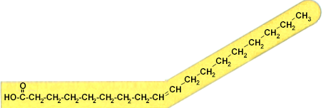 Ácido graso insaturado Los Acidos grasos se clasifican como Saturados si presentan enlaces simples (sólidos a