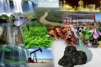 Los fundamentos económicos de las empresas EJEMPLOS de recursos: los suelos, los bosques, los minerales, el agua y otros elementos que no fueron creados por el hombre son recursos naturales.
